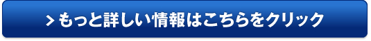 リーンフレーム 販売サイトへ